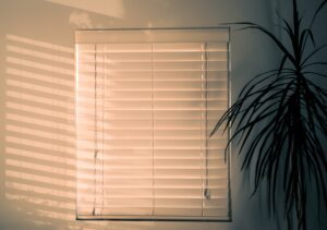 solar shades