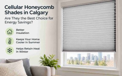Cellular (Honeycomb) Shades in Calgary: Are They the Best Choice for Energy Savings?