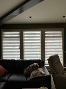 Zebra Blinds Triple